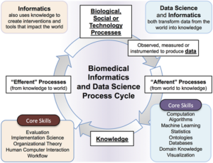 Biomedical Informatics & Data Science - Division of Biology ...