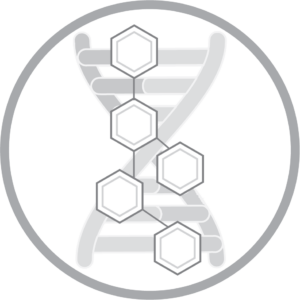 Molecular Cell Biology