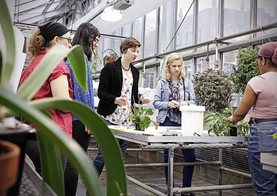 William H. Danforth Plant Sciences Pathway