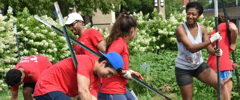 WashU Community working