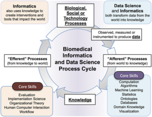 Biomedical Informatics & Data Science - Division Of Biology ...