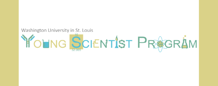 Young Scientist Program (YSP)